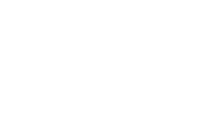 playworks logo copy